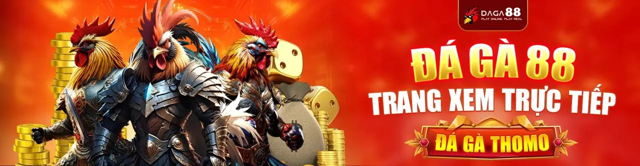 Trận đấu đá gà trực tuyến kịch tính tại vh88